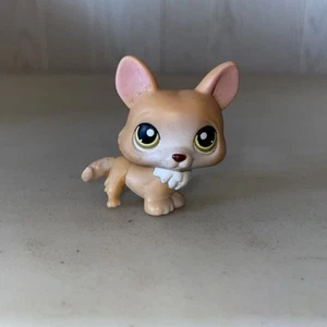 Littlest Pet Shop #183 CORGI Tan White Dog Green Eyes - AUTHENTIC LPS Red Magnet - Foto 1 di 7