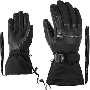 GALLINUS AS(R) PR DCS glove ski alp BLACK - Bild 1 von 3