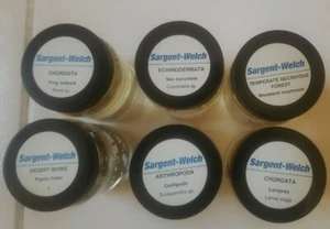 Collection Of 6 Sargent Welch Preserved Specimens - Picture 1 of 7