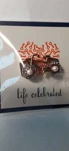 NUR EINE! Keep Collective Pave Pearl Fahrrad Focal, Neu in Verpackung!  - Bild 1 von 4