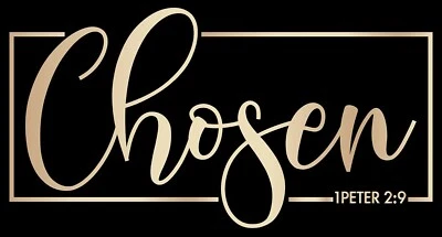 Transferencia de hierro elegida para camiseta + otras telas claras y oscuras #13 Foto 1 de 4