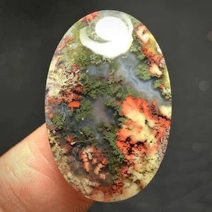 Scenic Moss Plume Agate Cabochon 27x18x5.5mm High Quality 20.5 ct - Picture 1 of 6