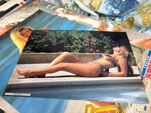 #229 Vintage Poster 20.5x14 Sexy Blonde Ashley Series Double Sided Brunette - Picture 1 of 4