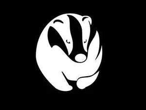 HONEY BADGER Vinyl Decal Car Wall Window Sticker CHOOSE SIZE COLOR - Picture 1 of 2