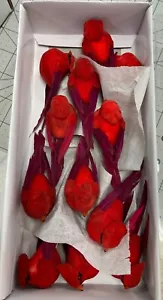 12 - Wired Artificial 4" Red Cardinal Birds for Decorations Arts - Picture 1 of 4