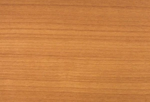 Accessory - 52 Inch Fan Blade-Light Maple Finish Fan Lite Kits And Accessories - Picture 1 of 1