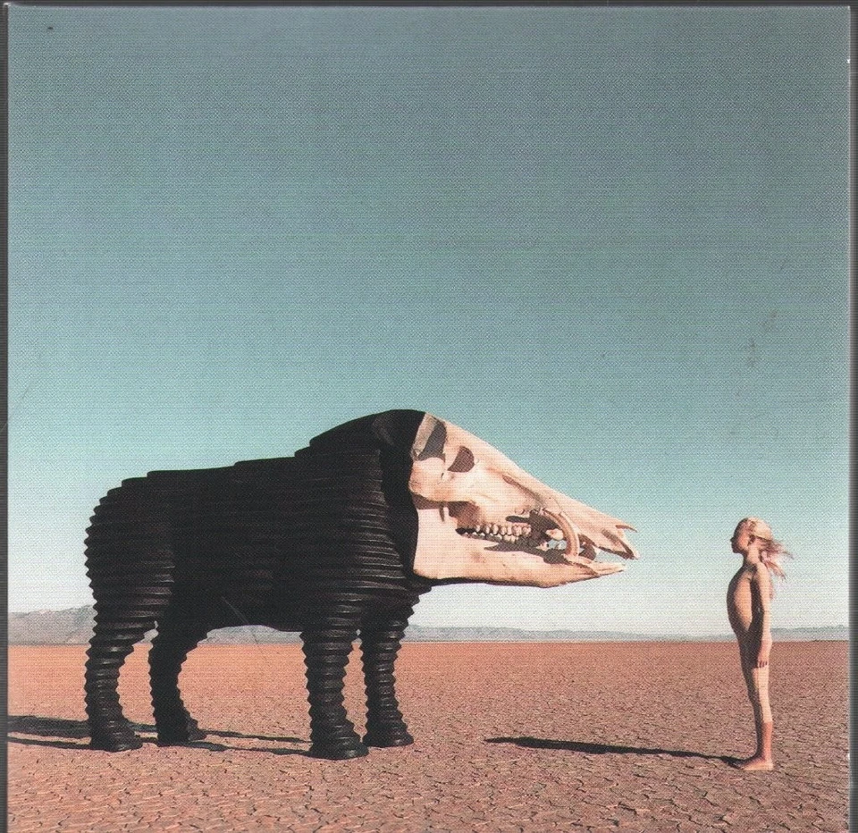 Man Man Dream Hunting In the Valley of the In-Between CD Europe Sub Pop 2020 in - Bild 1 von 2