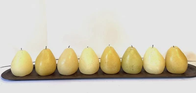 Elements Pear Candle Garden 4 in W X 24.5 in L Rustic Finish Iron Tray Relaxing - Image 1 of 4