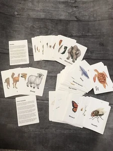 Learning Horizons Wildlife Cards Farm Animals Marine Ocean Insects Mammals - Picture 1 of 2