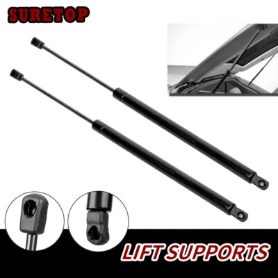 1 par de puntales de soporte de elevación de puerta levadiza trasera para Ford Freestyle SG204065 2006-2007 Foto 1 de 4