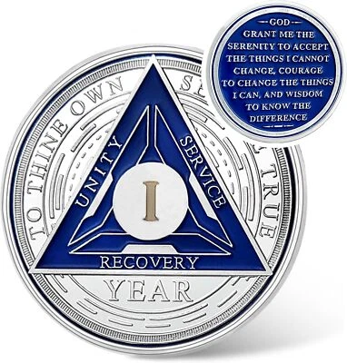 1 Year Sobriety Gifts Living Sober Gift Chips Coin One Year AA Medallion Token - Image 1 of 4