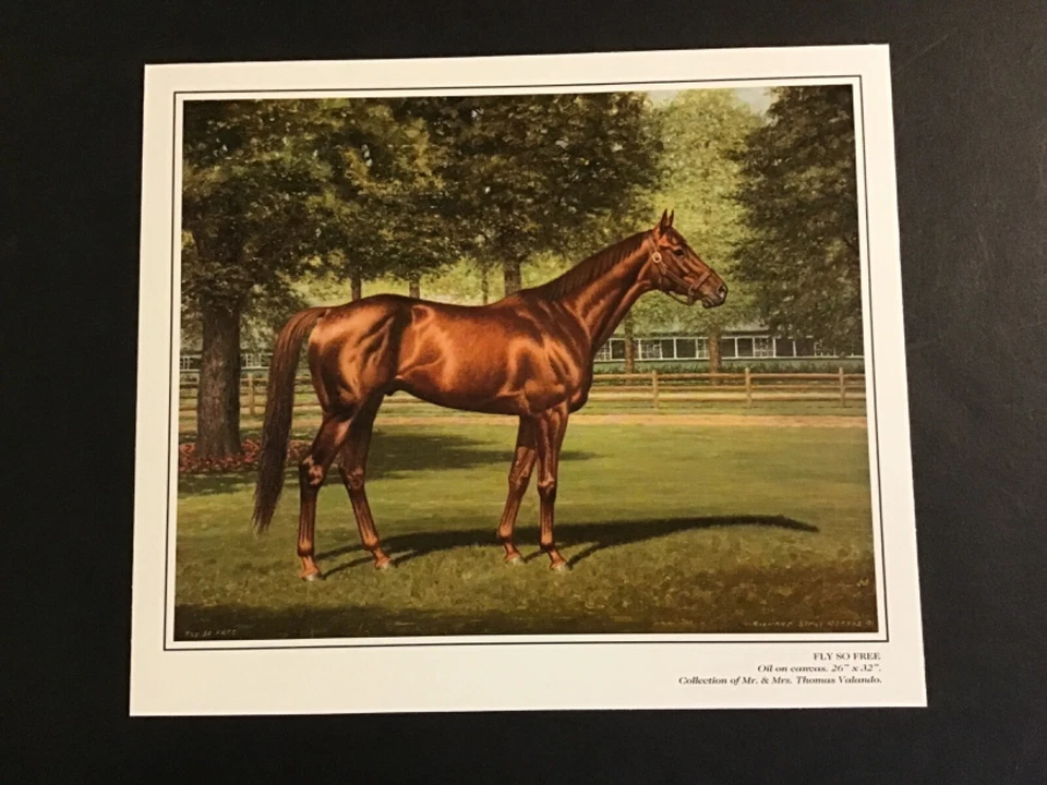 Foto FLY SO FREE Campeón Carreras de Caballos Foto 1 de 1