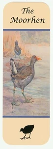THE MOORHEN BEAUTIFUL BIRD BOOKMARK SAME IMAGE BOTH SIDES GREAT GIFT - Bild 1 von 1