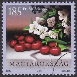 Specimen, Hungary Sc4238 Plant, Sour Cherry - Picture 1 of 1