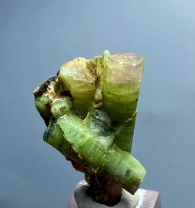 Natural Watermelon TOURMALINE Crystal Specimen From Afghanistan 36.35 Carats - Picture 1 of 17