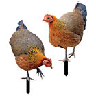 Chicken Rooster Yard Stakes Garden Ornament Lawn Decor Set Of 2