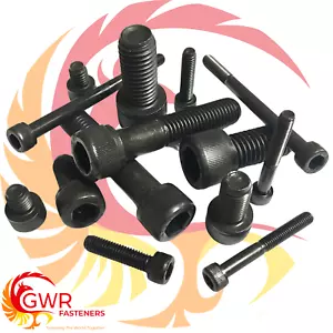 M1.6 VITI TAPPO A BUSSOLA 12.9 ALTA RESISTENZA 1,6 MM CHIAVE A BRUGOLA BULLONI ESAGONALI DIN 912 - Foto 1 di 8