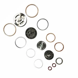 Z102 Complete Valve Set with Gaskets for Champion Models RE-14, REN-14 & R15 - Imagen 1 de 1