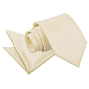Juego de corbata y cuadrado de bolsillo clásico liso satinado champán para hombre de DQT - Imagen 1 de 3