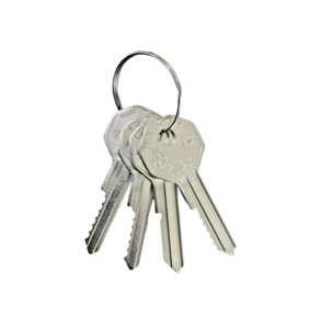 Old General Motors B10 B11 H98LA H1098LA 32318 HBR2 6 Cut Space and Depth Keys - Picture 1 of 2