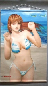 [Tapestry Wall scroll] Kasumi DEAD OR ALIVE Xtreme 3 B2 size Limited Japan - Picture 1 of 4