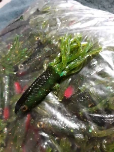 4" Minnow weich duftend Baby Barsch Braten Menge 25 Stck. F3 - Bild 1 von 5