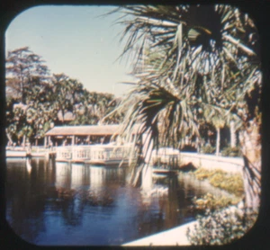 Silver Springs, Florida - View-Master Gold Center Reel - (GC-161) - Picture 1 of 3