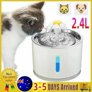 cat drinking fountain australia