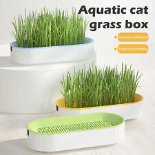 2 X New Pet Cat Sprout Dish Growing Pot Hydroponic Plant Cat Grass Germination 