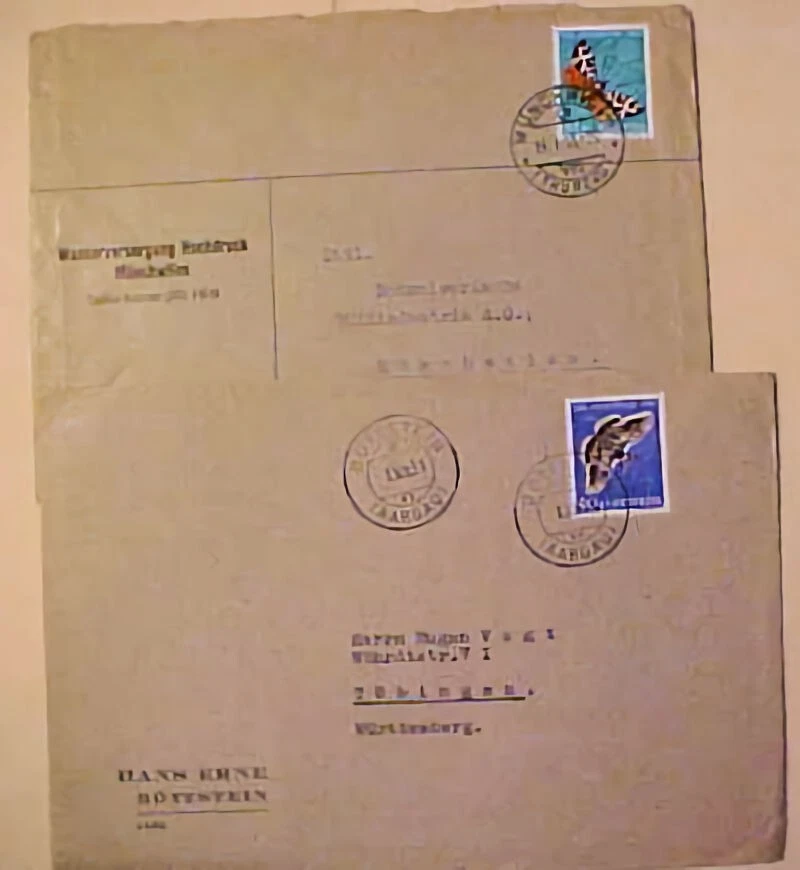 SUIZA MARIPOSA 1951 40 CENTAVOS, 1955 Foto 1 de 1