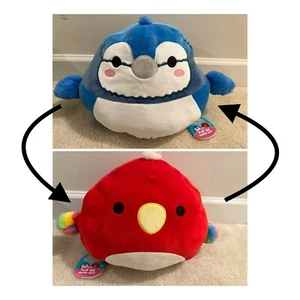 Squishmallow Flip A Mallow 2in1 Babs Blue Jay & Paco Red Papagei Vogel Regenbogen - Bild 1 von 8
