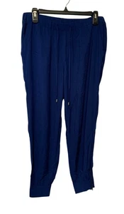 Stylus Womens SIze Medium Pull On Jogger Pants Blue Rayon Pockets Waist Tie - Picture 1 of 4