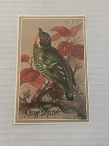Vintage 5 "x 3,25" Frohe Weihnachten Karte Nachricht Papier Ephemera Vogel Kunst Portrait - Bild 1 von 5