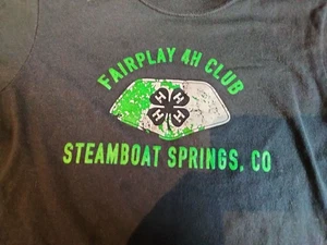 T Shirt Gray Fairplay Southpark Colorado Youth Size Large 4H club Steamboat Spr - Picture 1 of 5