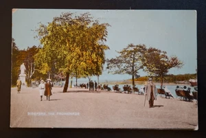 The Promenade, Bideford, Devon Vintage Postcard - Picture 1 of 2