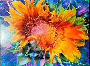 Friendship Cards By Leanin Tree & Sunrise Choose From List - Picture 1 of 43