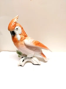 Ara Ens, Top  ! ! ! - Bild 1 von 5