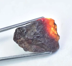 31.00 Ct Natural Hessonite Orange Garnet Certified Untreated Facet Loose Rough - Picture 1 of 6