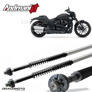 HARLEY-DAVIDSON V-Rod Night Rod Special / VRSCDX 2006-2014 cartridge ANDREANI... - Picture 1 of 5