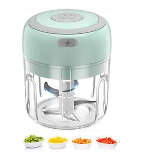 Electric 250ML Garlic Press Chopper Chili Onion Fruits Meat Mincer Blender Mixer - Picture 1 of 23