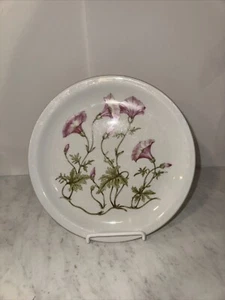 Plato decorativo Pillivuyt France Morning Glories usado en excelente estado 9,5" diámetro - Imagen 1 de 4
