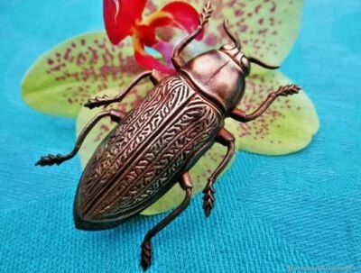 Broche ancienne Grand scarabée laiton Art Nouveau France Antique brooch Grand sc - Photo 1/4