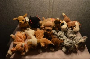 11 BEBÉS BEANIE ALGUNOS RAROS, PERRO GATO GARANTIZADO AUTÉNTICO BERNIE PRANCE NUEVO EN PAQUETE - Imagen 1 de 12