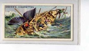 (Jf9021) OGDENS,WALFANG,GEBRANNT,1927,#17 - Bild 1 von 2