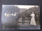 Rppc Photo Postcard Woman Holding Reins Of Large Black Stallion Horse