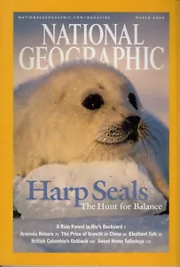 National Geographic Collection Magazin Harfenrobben März 2004 - Bild 1 von 2