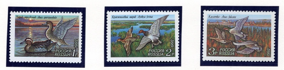 Russia Stamp Scott #6090-6092, Ducks, Set of 3, MNH, SCV$.90 - Image 1 of 1