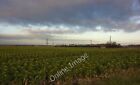 Photo 6x4 A field of sprouts near Moss Cottages - ready for Christmas Mos c2010