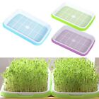 Promote Healthy Growth Multifunction For Grain Sprouter Germination Tray