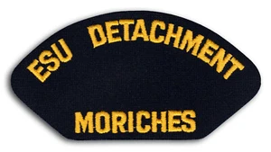 US Coast Guard ESU Detachment Moriches NY Electronics Service Unit Patch Iron On - Picture 1 of 1